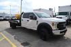 2019 WHITE /BLACK FORD F550 (1FD0W5HT8KE) with an POWERSTROKE 6.7L DIESEL engine, AUTOMATIC transmission, located at 9172 North Fwy, Houston, TX, 77037, (713) 910-6868, 29.887470, -95.411903 - 19,500 LB GVWR, 11 FT FLATBED X 96" WIDE, AXLE RATIO: 4.88, WHEELBASE: 203", 4X4 , CREW CAB, POWER WINDOWS & LOCKS, TOOLBOX, GOOSENECK/BUMPER PULL HITCH - Photo#1